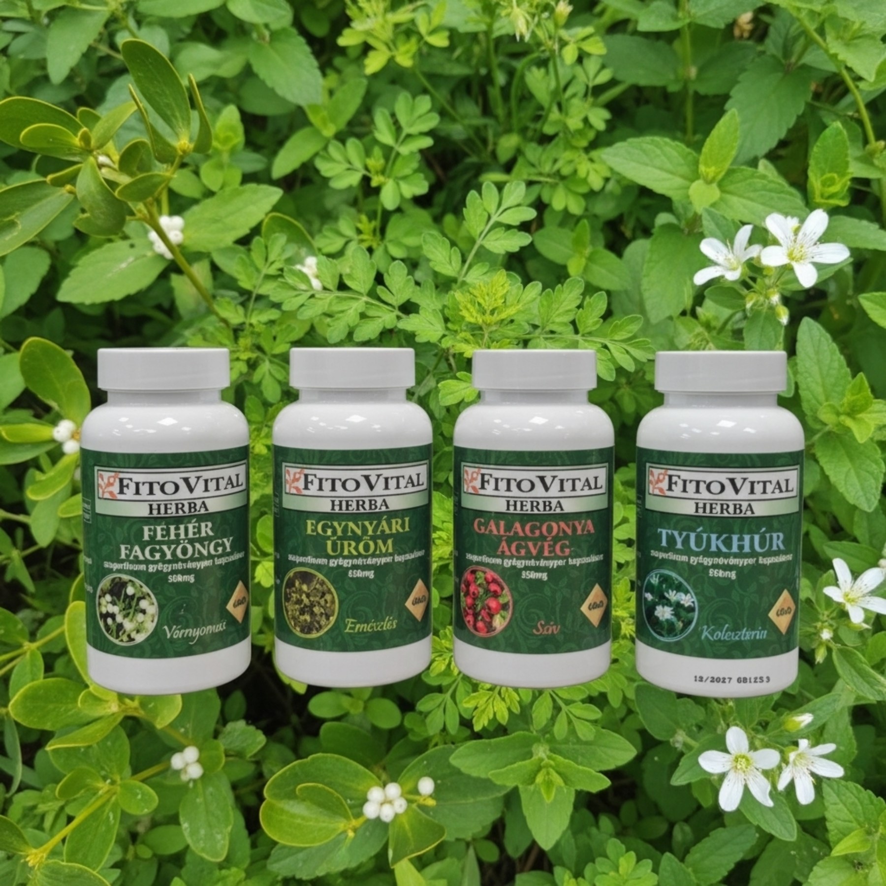 fitovitalherba